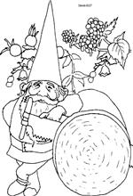 coloring page David the Gnome